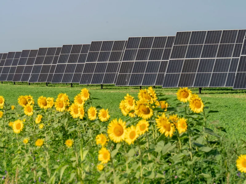 Agri-PV Garzweiler